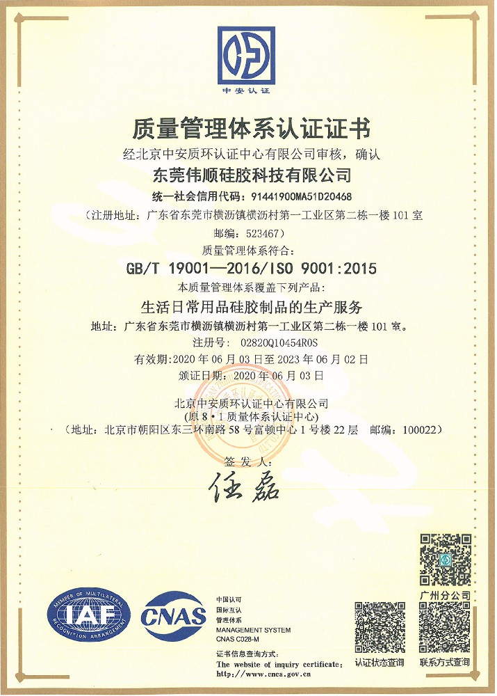 ISO9001认证中文版